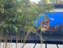 -爱儿美儿童摄影(朝阳公园店)