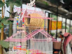 -马陆小张葡萄园农家乐