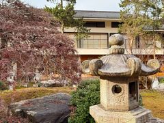 -庆春朴门