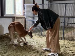 -水上乐园·欢乐世界