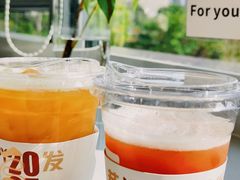 -THE PLAN_T COFFEE ROASTER(定岗湖公园店)