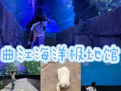 -西安曲江海洋极地公园