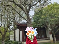 -堤角公园