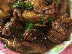 -南汇老顾农家乐采摘大团水蜜桃采摘店