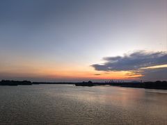 -贡湖湾湿地公园