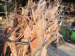 -会江钓鱼钓虾烧烤场