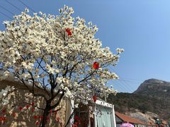 -里口山风景名胜区