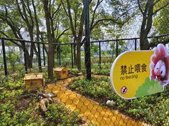 -武汉动物园