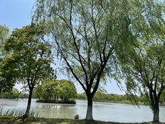 -梁鸿国家湿地公园