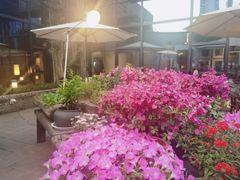 -瓦库茶馆17号(海汇港店)