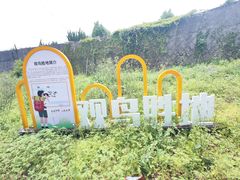 -平湖九龙山旅游度假区