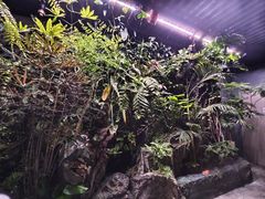 -漫·汤泉
