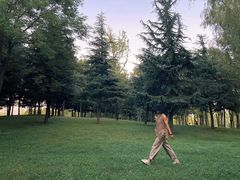 -洨河生态公园
