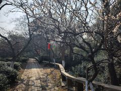 -雨花胜境
