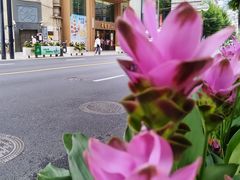 -南京西路(地铁站)