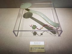 -汕头市博物馆
