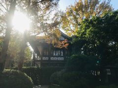 -无锡蠡湖国家湿地公园-蠡园