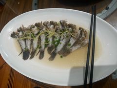 油盐蒸笋壳鱼-龙门山庄