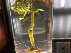 -广东中医药博物馆