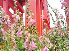 -海心沙亚运公园