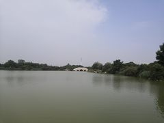 -大港湿地公园