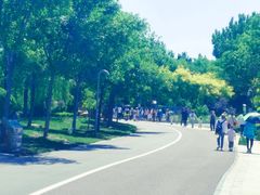 -武清南湖绿博园