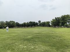 -盘龙城国家考古遗址公园