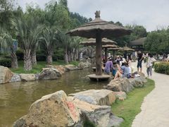 -南京银杏湖乐园