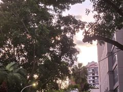 -仙岳公园