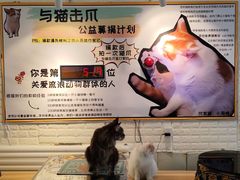 -平行世界·猫咖(首经贸店)