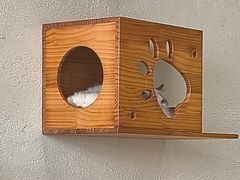 -藏猫猫咖啡主题馆(中央大道店)