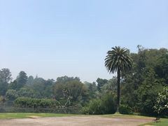 -墨尔本皇家植物园