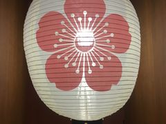-重庆南山海昌汤都