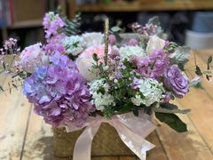 -超级物种·波龙工坊(国贸店)