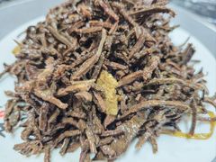 -赵氏牛肉罩火烧