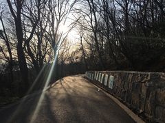 -紫金山天文台