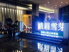 -成都峨眉雪芽大酒店