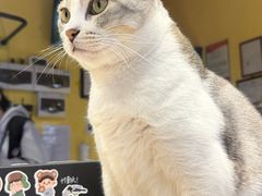 -谜盒子奇幻密室(南屏店)