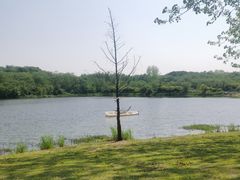 -盘龙城国家考古遗址公园