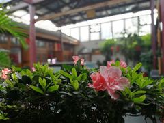 -丽江庭院之爱在路上(西单店)