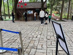 -同里国家湿地公园