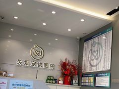 -关爱宠物医院·猫科中心·消化科(滨湖万达分院)