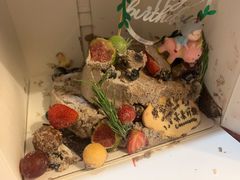 -EnergyCake蛋糕理想国