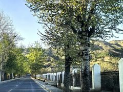-北京十三陵国家森林公园蟒山景区