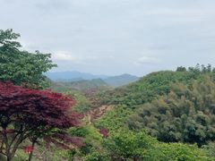 -四明山国家森林公园