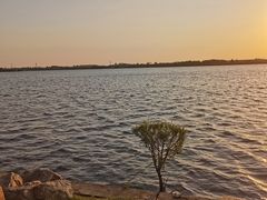 -丁香湖公园