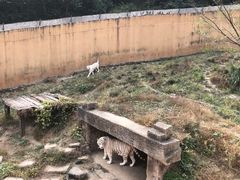 -宁波野生动物园
