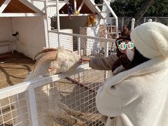 -金庭庄园酒店-停车场