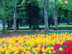 -国家植物园南园