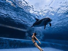 -三亚海昌梦幻海洋不夜城